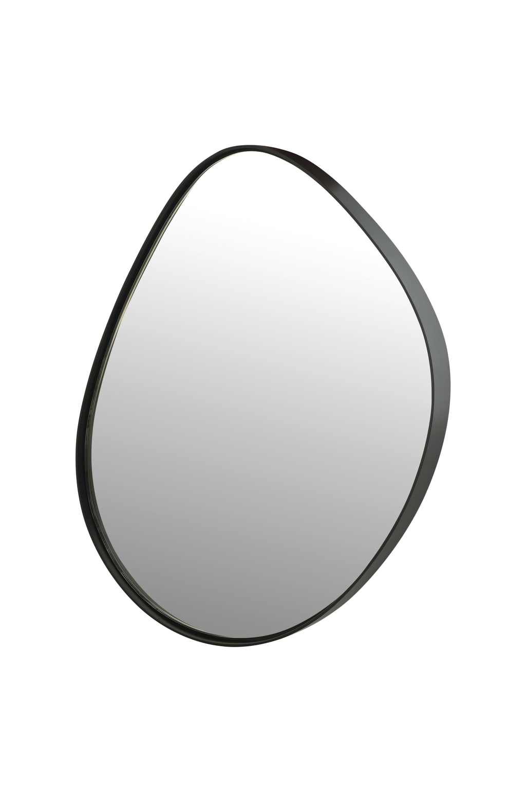 Organic Pebble Wall Mirror | Black Metal Frame 130cm
